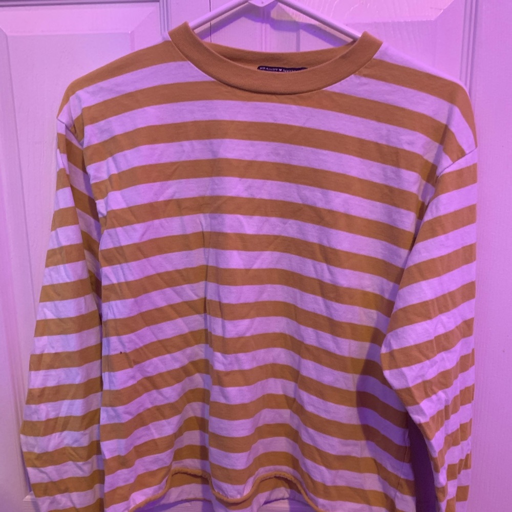 Brandy Melville cropped long sleeve